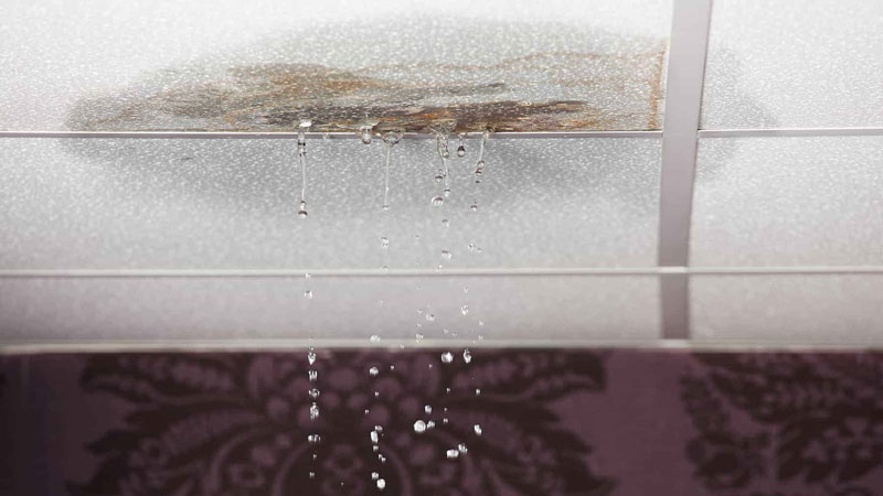 residential insurance claims public adjusting